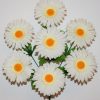 Искусственный цветок -Ромашка натуральная 7-ка R-1302