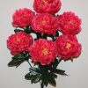 Искусственные цветы —Пион атласный 7-ка не прес R-1633
