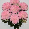 Искусственные цветы -Гвоздика-Хризантема 7-ка не прес R-1489